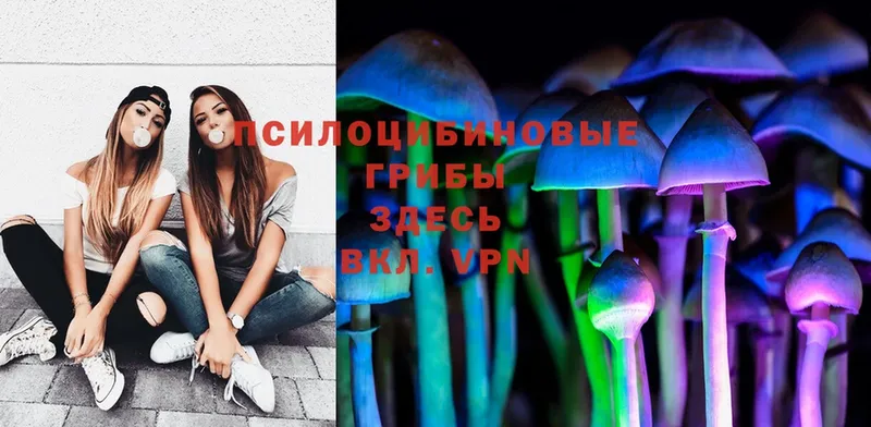 Галлюциногенные грибы MAGIC MUSHROOMS  Воскресенск 